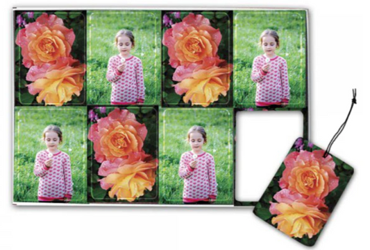 Custom Printed 8 Piece Air Fresheners - Promotional Product